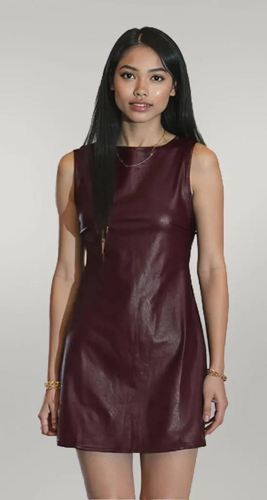 Wild Ginger Vegan Leather Sleeveless Mini Dress