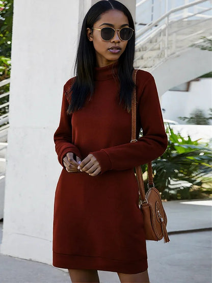 Ivy Lane Round Neck Long Sleeve Mini Dress with Pockets Burgundy