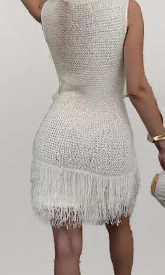 Fringe Round Neck Sweater Dress