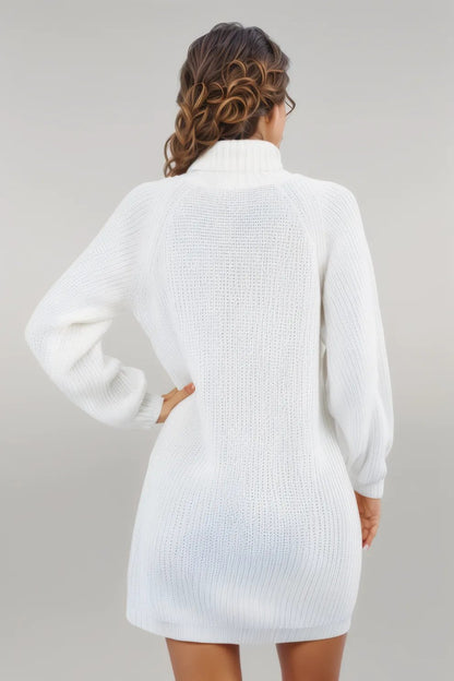 Buttoned Turtleneck Long Sleeve Sweater Dress