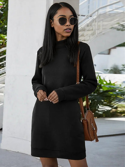 Ivy Lane Round Neck Long Sleeve Mini Dress with Pockets Black
