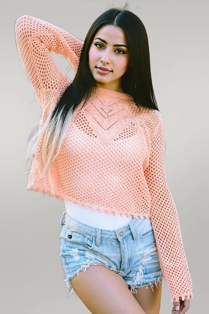 Openwork Round Neck Long Sleeve Knit Top